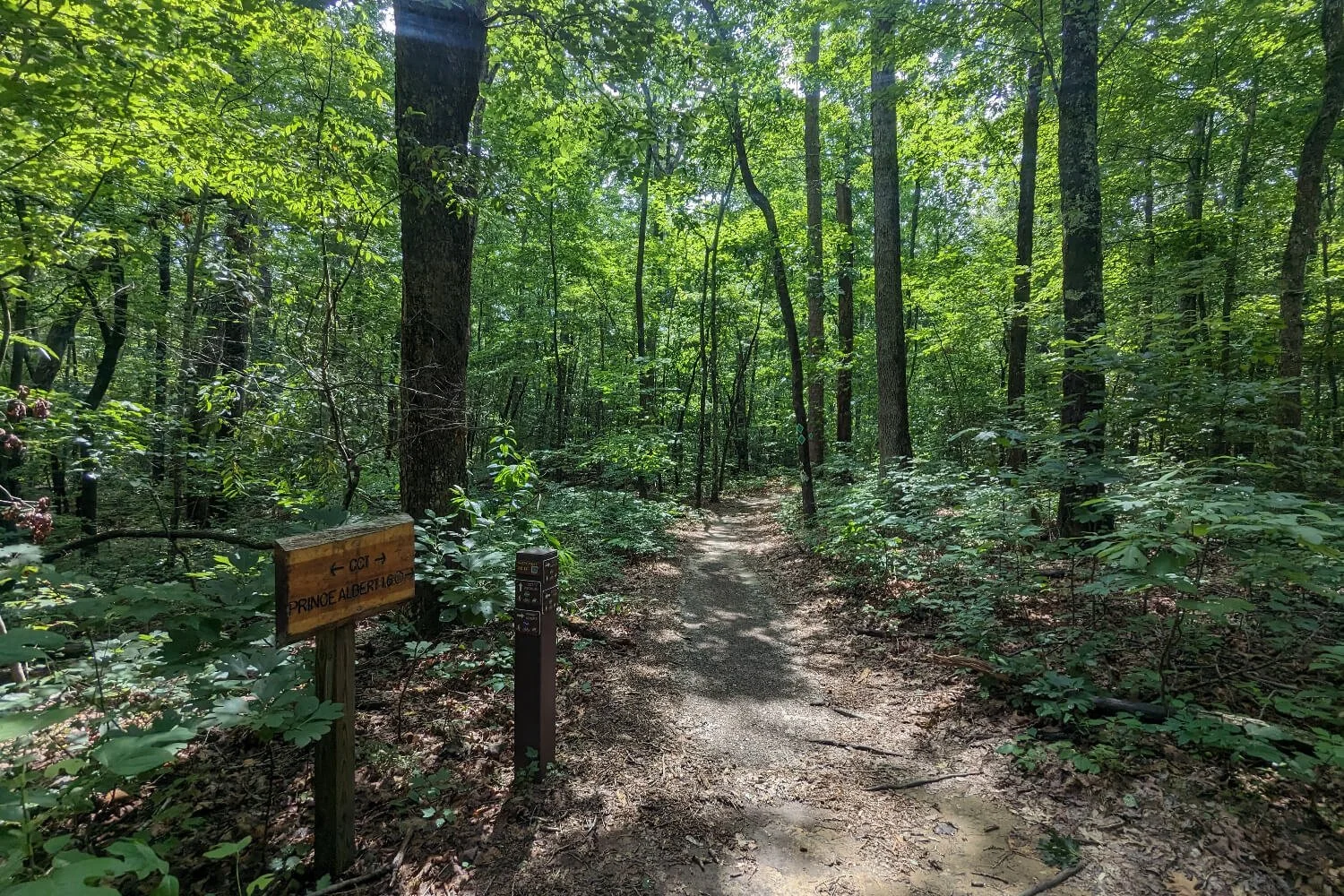 Cloudland canyon discount mountain bike trails